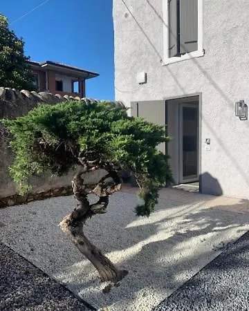 Magnolia Pescantina