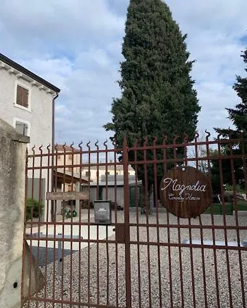 Magnolia